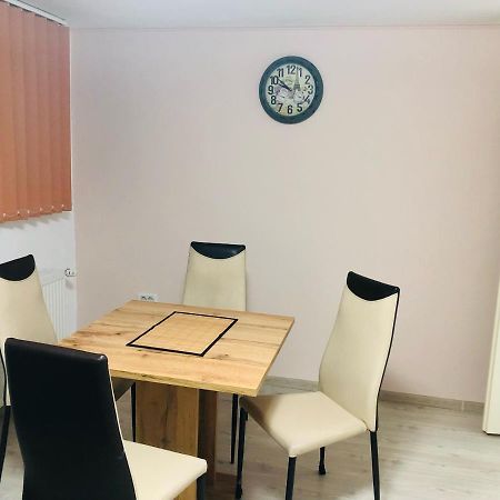 Central Park - Big Apartment - 3 Rooms - Free Parking T5 ティミショアラ エクステリア 写真