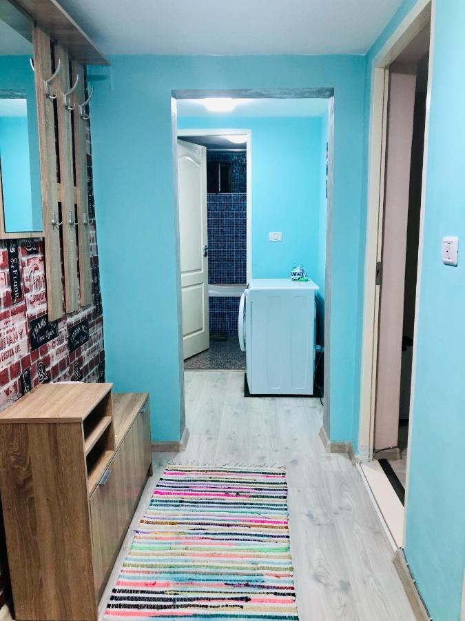 Central Park - Big Apartment - 3 Rooms - Free Parking T5 ティミショアラ エクステリア 写真