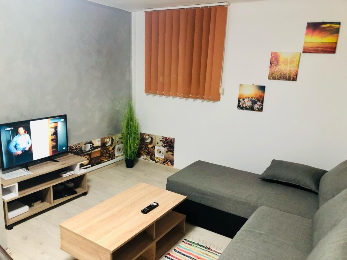 Central Park - Big Apartment - 3 Rooms - Free Parking T5 ティミショアラ エクステリア 写真