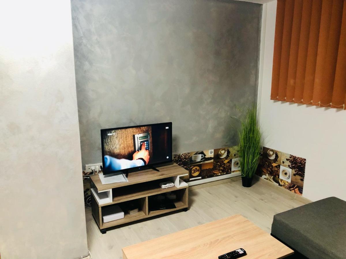 Central Park - Big Apartment - 3 Rooms - Free Parking T5 ティミショアラ エクステリア 写真