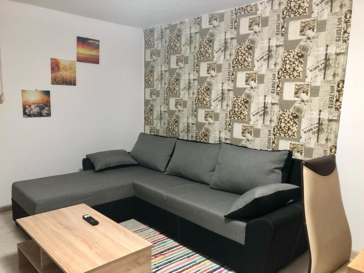 Central Park - Big Apartment - 3 Rooms - Free Parking T5 ティミショアラ エクステリア 写真