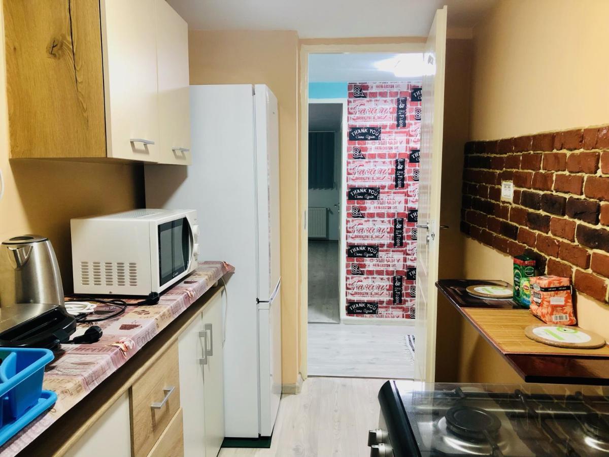 Central Park - Big Apartment - 3 Rooms - Free Parking T5 ティミショアラ エクステリア 写真